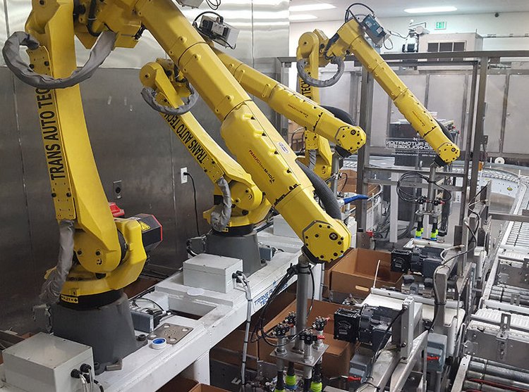 Robot Palletizer with FANUC Robots